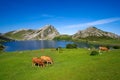 Picos de Europa Enol lake in Asturias Spain Royalty Free Stock Photo