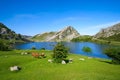 Picos de Europa Enol lake in Asturias Spain Royalty Free Stock Photo