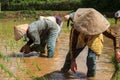 Villagers in Laos working in the fields