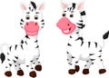 Sweet zebra couple cartoon standing with smile