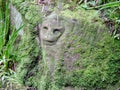 Pictish carving in Roslyn Glen Royalty Free Stock Photo