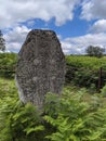 Pictish stone Royalty Free Stock Photo