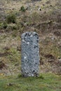 Pictish stone with distinct symbols carved on front face standing on the ground found in Isle of Raasay, Scotland, UK Royalty Free Stock Photo