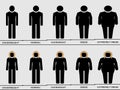 Visual comparison among different types of body mass Royalty Free Stock Photo