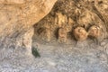 Pictograph State Park outside of Billings, Montana in Summer