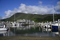 Picton Marina & Town Early Morning Spring. New Zealand Royalty Free Stock Photo