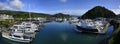 Picton Marina & Town Panorama Early Morning Spring New Zealand Royalty Free Stock Photo