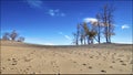 Sand dune background landscape with treelined and blue sky