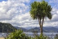 Picton is a town in the Marlborough Region of New Zealand`s South Island Royalty Free Stock Photo