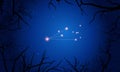 Pictor constellation. Tree branches, starry sky Royalty Free Stock Photo