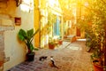 Pictoresque mediterranean street with stairs and flower pots, Chania, island of Crete, Greece Royalty Free Stock Photo