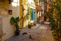 Pictoresque mediterranean street with stairs and flower pots, Chania, island of Crete, Greece Royalty Free Stock Photo