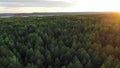 Pictorial green thick forest trees against river on horizon Royalty Free Stock Photo