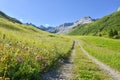 pictorial hiking route through wildflower meadow, Gafiertal valley, prattigau alps Royalty Free Stock Photo