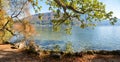 Pictorial lakeside Traunsee, colorful leaves in autumn, big oak tree branch