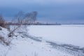 Pictorial landscape bank of frozen river with crooked growing birch in winter