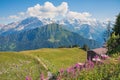 Pictorial mountain landscape swiss alps. view from schynige plat