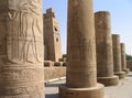 Pictorial reliefs on columns of Kom Ombo Temple, Egypt