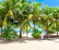 Pictorial scene of the tropical beach with white sand and palm trees, Mahe, Seychelles