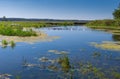 Pictorial summer landscape with small river Merla and flock of home geese