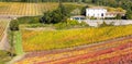 Pictorial Tuscany countryside - vineyards in Chianti region in Royalty Free Stock Photo