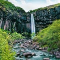 Picturasque morning view of famous Svartifoss Black Fall Waterfall. Great summer scene in Skaftafell, Vatnajokull National Park Royalty Free Stock Photo