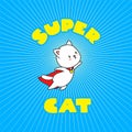 Super cat Royalty Free Stock Photo