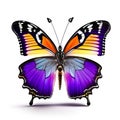 Abstract lovely butterfly background wallpaper