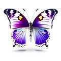 Abstract lovely butterfly background wallpaper