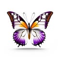 Abstract lovely butterfly background wallpaper