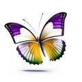 Abstract lovely butterfly background wallpaper