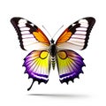 Abstract lovely butterfly background wallpaper