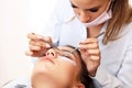 Adult woman having eyelash extension in professional beauty salon Royalty Free Stock Photo