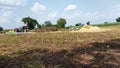 Picture of agriculture field in India, husk, piles of straw and tractor in the middle of field Royalty Free Stock Photo