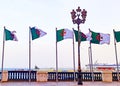 A picture of the Algerian flag waving