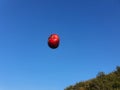 Red Apple fly on blue sky Royalty Free Stock Photo