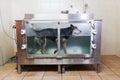 Australian Cattledog in a hydrotherapy station