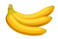 Picture of banana