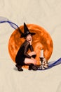 Picture banner drawing collage of beautiful conjurer enchantress lady doing occult magic on full moon midnight