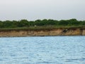 Picture of beach at Baffin Bay, Texas