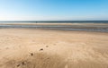 Lone horse rider in the surf