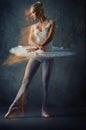 Picture of a beautiful ballet dancer. Royalty Free Stock Photo