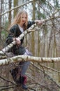 Picture of beautiful blonde girl sitting on birch branches Royalty Free Stock Photo