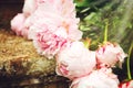Picture Of Beautiful Bouquet Of Peonies