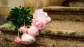 Picture Of Beautiful Bouquet Of Peonies