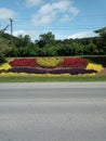 Picture of a beautiful flower bed