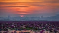 Picture of beautiful lotus flower field at the red lotus sea Royalty Free Stock Photo