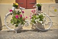 Beautiful urban white bike decorated with flowers Royalty Free Stock Photo