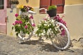 Beautiful urban white bike decorated with flowers Royalty Free Stock Photo