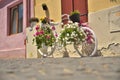 Beautiful urban white bike decorated with flowers Royalty Free Stock Photo